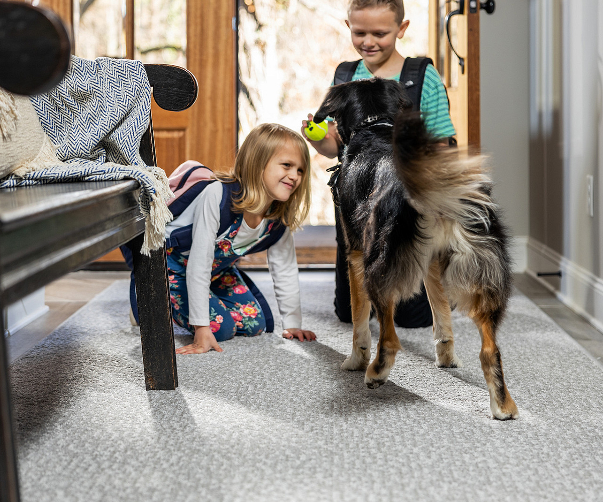 Carpet Flooring